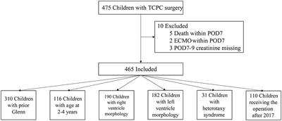 The Incidence and Risk Factors for Persistent Acute Kidney Injury Following Total Cavopulmonary Connection Surgery: A Single-Center Retrospective Analysis of 465 Children